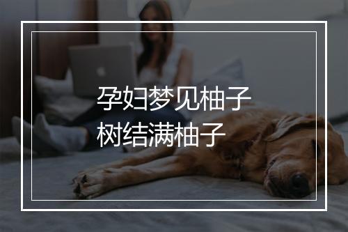 孕妇梦见柚子树结满柚子