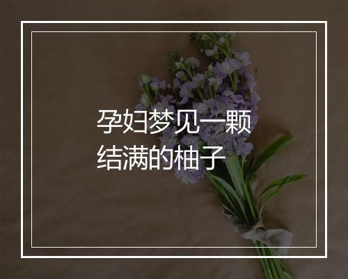 孕妇梦见一颗结满的柚子