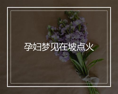 孕妇梦见在坡点火