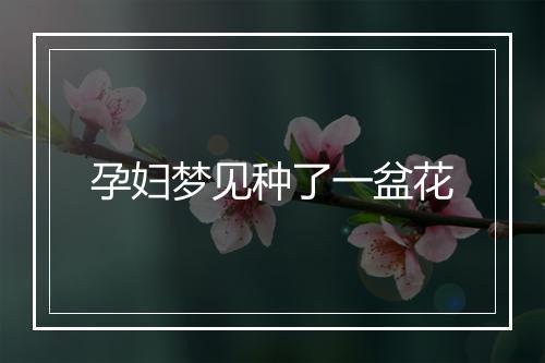 孕妇梦见种了一盆花