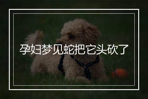 孕妇梦见蛇把它头砍了