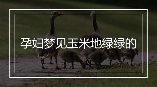 孕妇梦见玉米地绿绿的