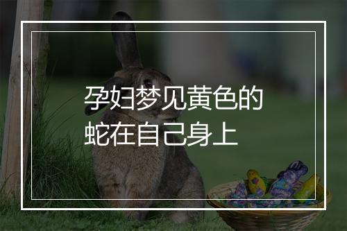 孕妇梦见黄色的蛇在自己身上