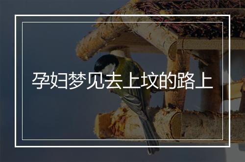 孕妇梦见去上坟的路上