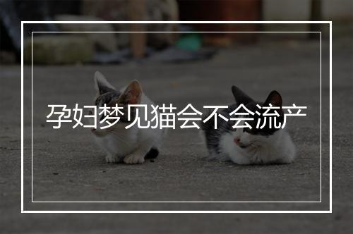 孕妇梦见猫会不会流产