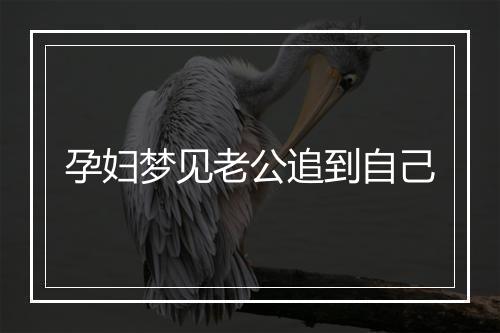 孕妇梦见老公追到自己