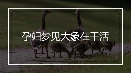 孕妇梦见大象在干活