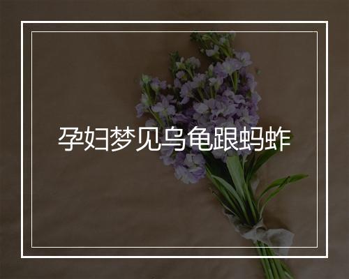 孕妇梦见乌龟跟蚂蚱