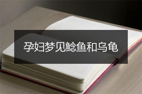 孕妇梦见鲶鱼和乌龟