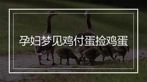 孕妇梦见鸡付蛋捡鸡蛋