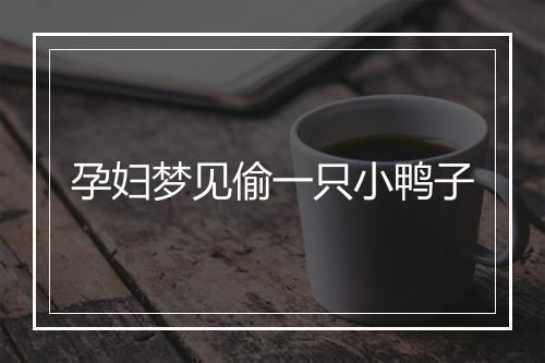 孕妇梦见偷一只小鸭子