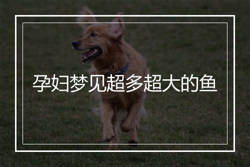 孕妇梦见超多超大的鱼