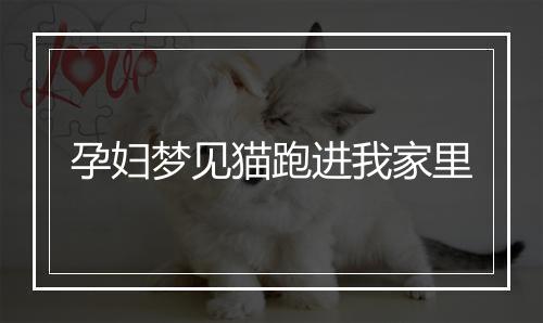 孕妇梦见猫跑进我家里