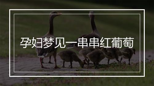 孕妇梦见一串串红葡萄