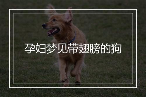 孕妇梦见带翅膀的狗