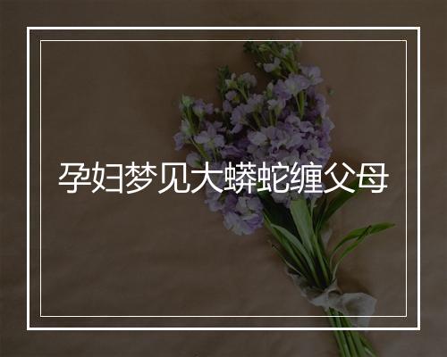 孕妇梦见大蟒蛇缠父母