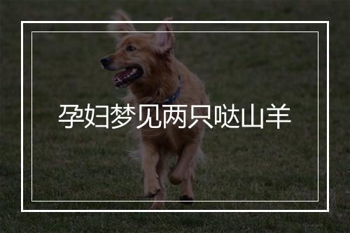 孕妇梦见两只哒山羊