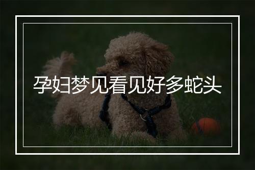 孕妇梦见看见好多蛇头