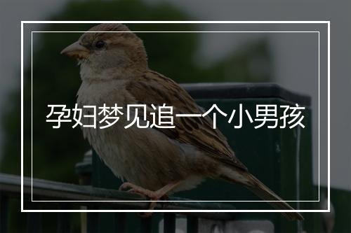 孕妇梦见追一个小男孩