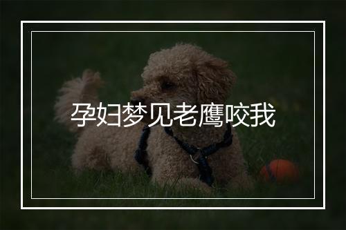 孕妇梦见老鹰咬我