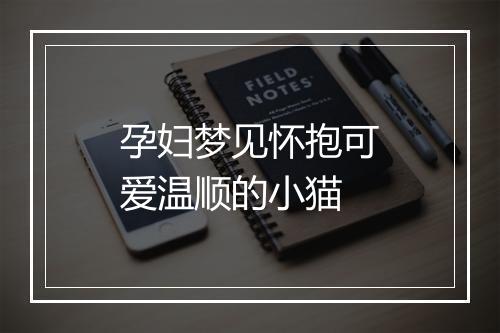 孕妇梦见怀抱可爱温顺的小猫