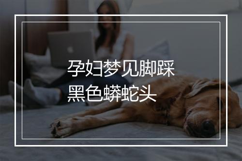 孕妇梦见脚踩黑色蟒蛇头