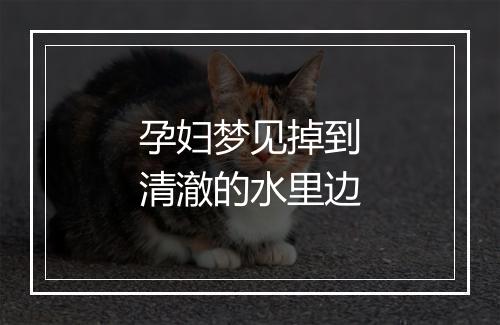 孕妇梦见掉到清澈的水里边