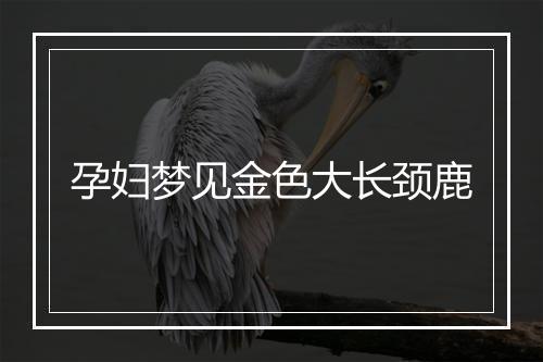 孕妇梦见金色大长颈鹿