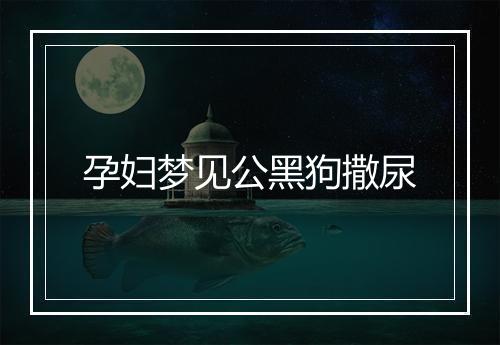 孕妇梦见公黑狗撒尿