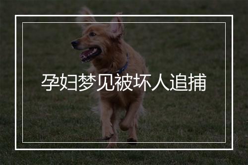 孕妇梦见被坏人追捕