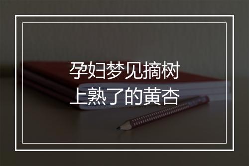 孕妇梦见摘树上熟了的黄杏