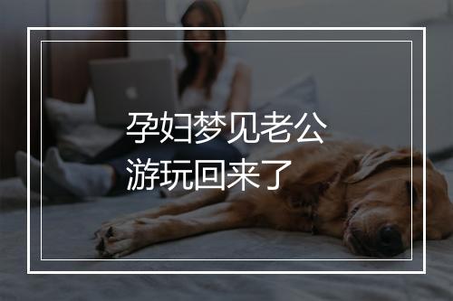 孕妇梦见老公游玩回来了