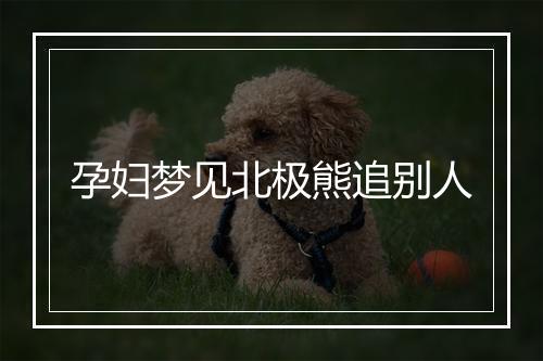 孕妇梦见北极熊追别人