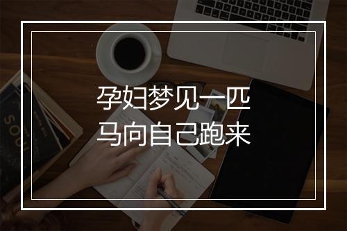 孕妇梦见一匹马向自己跑来