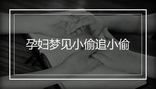 孕妇梦见小偷追小偷