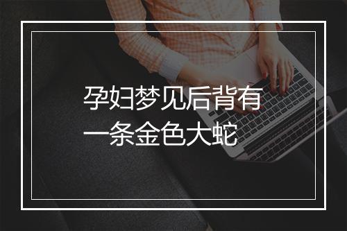 孕妇梦见后背有一条金色大蛇