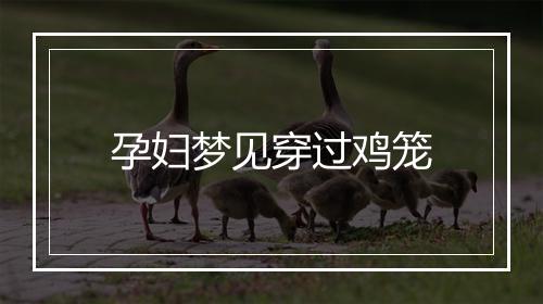 孕妇梦见穿过鸡笼