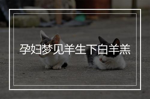 孕妇梦见羊生下白羊羔