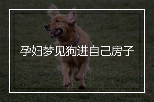 孕妇梦见狗进自己房子