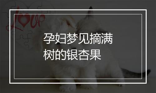 孕妇梦见摘满树的银杏果