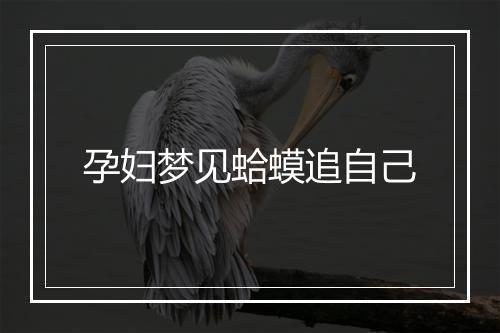 孕妇梦见蛤蟆追自己