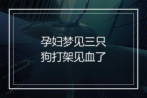 孕妇梦见三只狗打架见血了