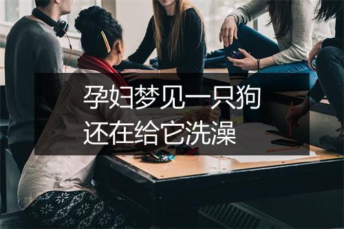 孕妇梦见一只狗还在给它洗澡