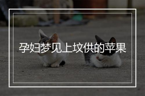 孕妇梦见上坟供的苹果