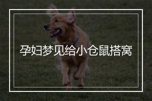 孕妇梦见给小仓鼠搭窝