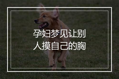 孕妇梦见让别人摸自己的胸