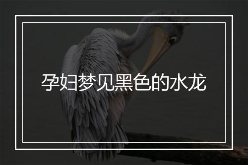 孕妇梦见黑色的水龙