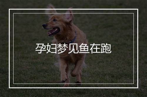 孕妇梦见鱼在跑