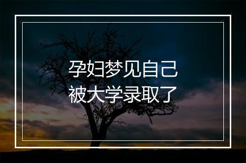 孕妇梦见自己被大学录取了