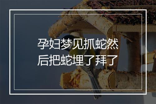 孕妇梦见抓蛇然后把蛇埋了拜了